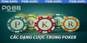 Các Dạng Cược Trong Poker