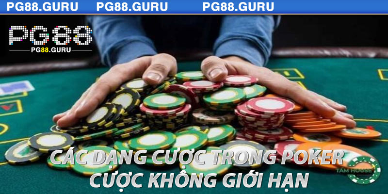 Các Dạng Cược Trong Poker - Cược Không Giới Hạn